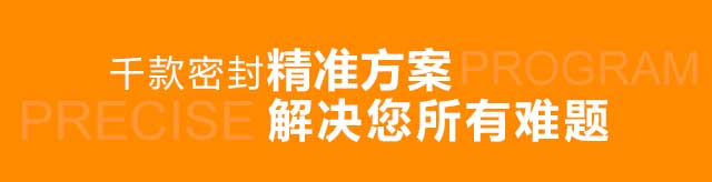 千款密封精準(zhǔn)方案 解決您所有難題