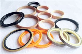 進(jìn)口密封件 進(jìn)口密封件