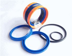 進(jìn)口密封件 進(jìn)口密封件