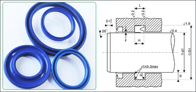 等高Y形圈 N1 等高Y形圈 N1