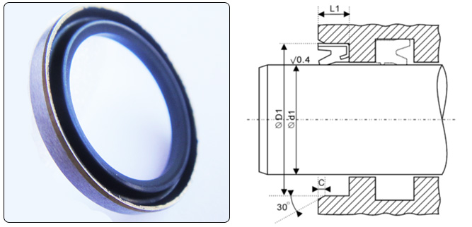 內(nèi)置式骨架防塵圈- 英制F8 內(nèi)置式骨架防塵圈- 英制F8