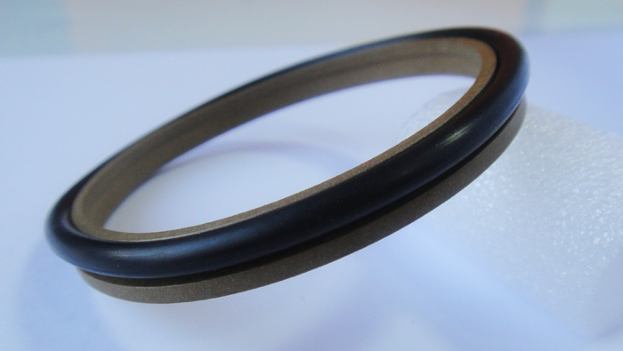 Z形四氟防塵圈F10 Z形四氟防塵圈F10