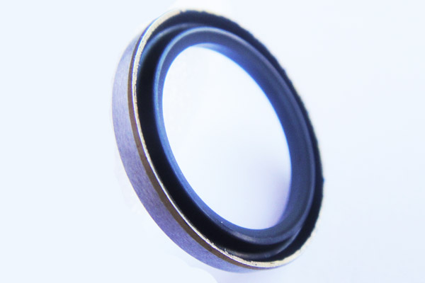 內(nèi)置式骨架防塵圈- 英制F8 內(nèi)置式骨架防塵圈- 英制F8