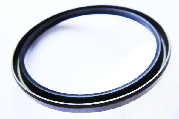 外露骨架無(wú)彈簧油封VB 外露骨架無(wú)彈簧油封VB