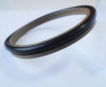 Z形四氟防塵圈F10 Z形四氟防塵圈F10