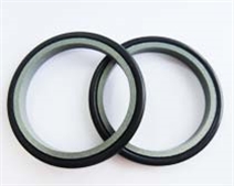 L形四氟防塵圈F11 L形四氟防塵圈F11