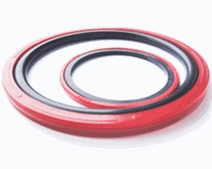 聚氨酯雙向格萊圈W3-6 聚氨酯雙向格萊圈W3-6