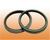 汽車油封--變速箱油封減震器油封等 汽車油封--變速箱油封減震器油封等